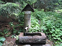 Pramen řeky Úhlavy