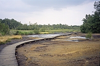 Národní přírodní rezervace SOOS